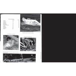 Urbana High School Rosemary Yearbook - 1968